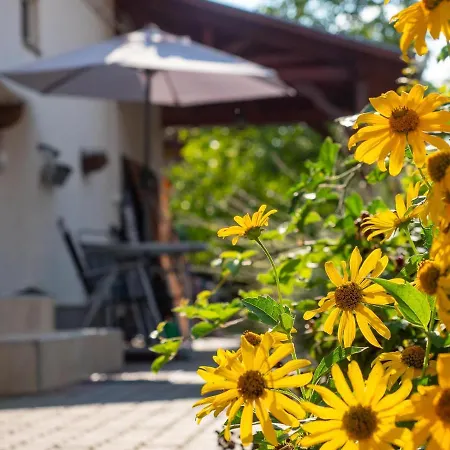 Pipacsos Vendeghazak Διαμέρισμα Kiskunmajsa