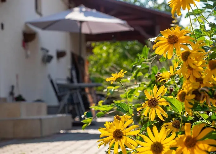 Pipacsos Vendeghazak Lejlighed Kiskunmajsa